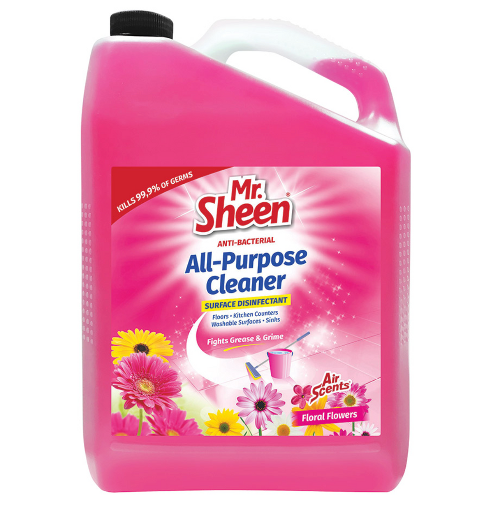 Multi-Purpose Cleaner Assorted 5L