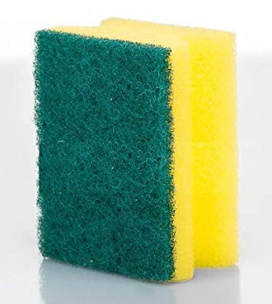 Sponges