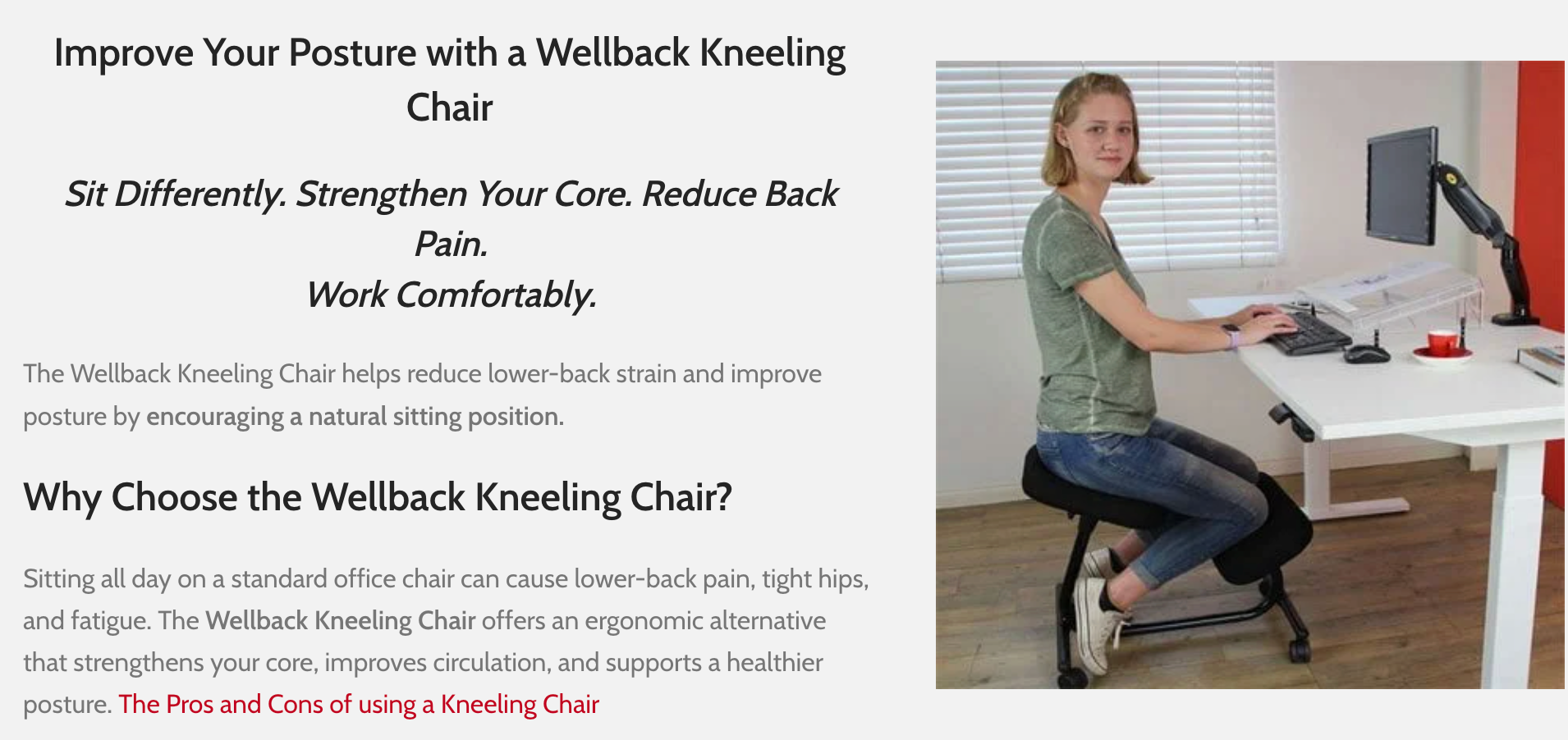 Wellback Kneeling Chair (Flat Pack)