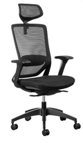 Fenix Task office chair