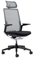 Evolv Task office chair