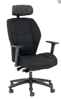 Ortho-2XL Executive Office Chair