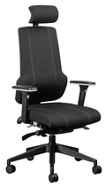 Ortho-Max Executive Office Chair