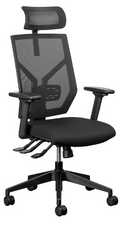Ortho-Air Executive Office Chair