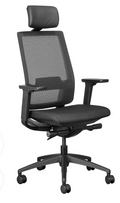Mira Executive Office Chair