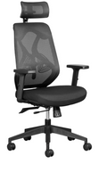 Leila Executive Office Chair