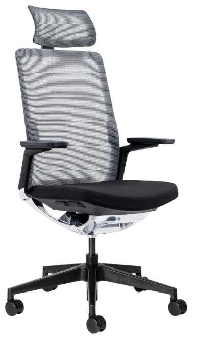 Evolv Executive Office Chair